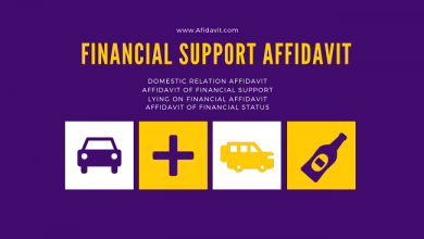 Financial Support Affidavit